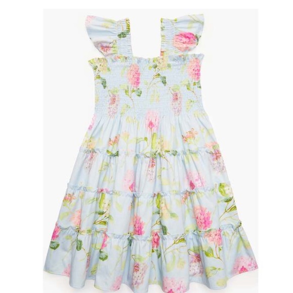 Hill House Other - The Hill House Ellie Nap Dress mini in hydrangea chintz